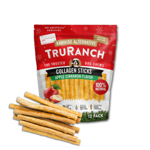 Apple Cinnamon Stix - 12 Pack