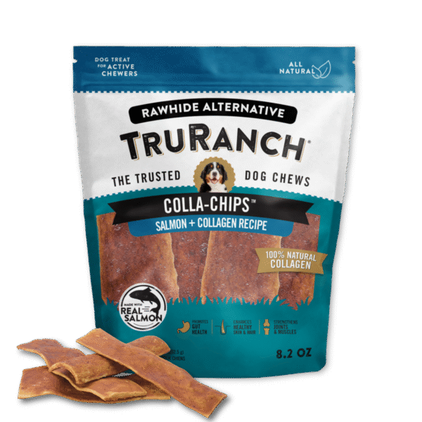 Salmon Chips